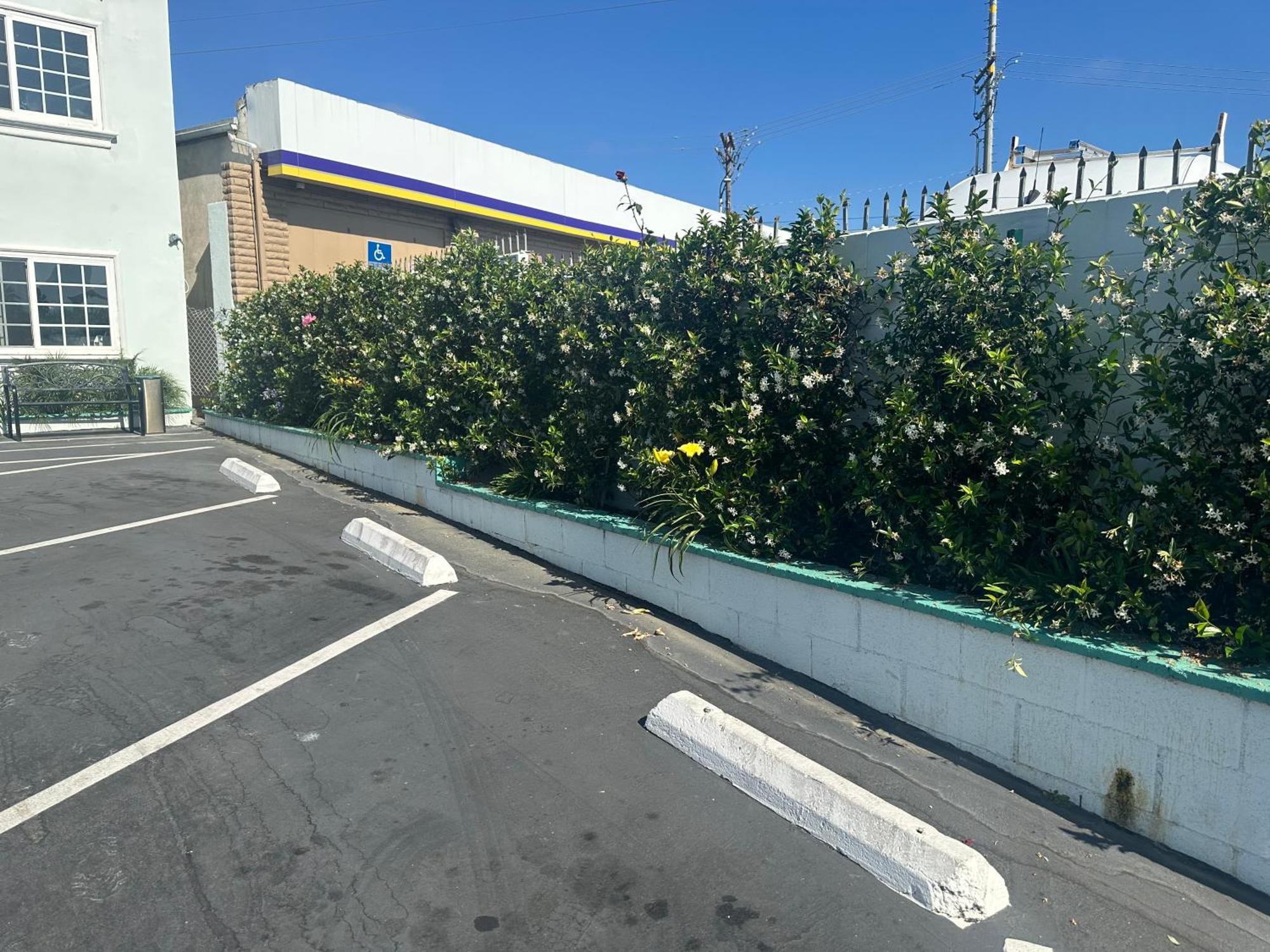 Super 8 By Wyndham Oceanside Downtown Hotel Екстериор снимка